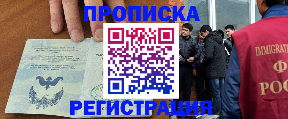 прописка 2025 в Елизово